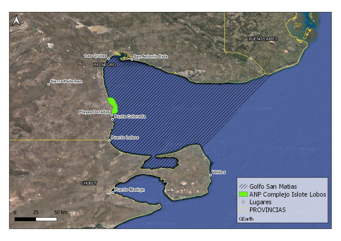 El Golfo San Matías un tesoro natural en peligro por la explotación