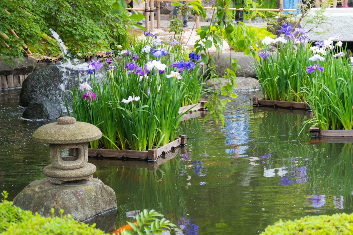 How To Create A Zen Garden In The British Climate