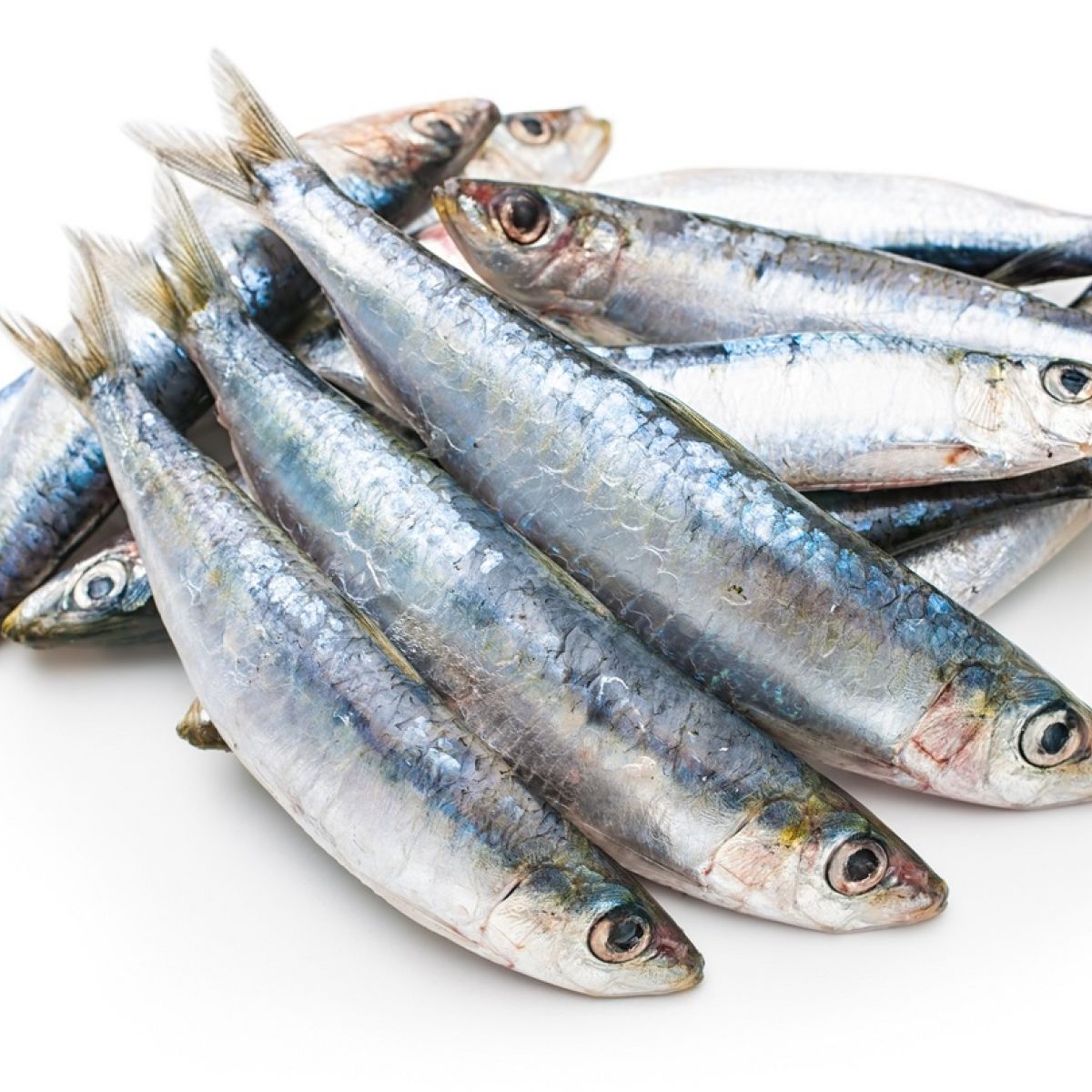 Sardine 1 kg box Cambridge Fresh