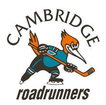 Cambridge Roadrunners Tournament 2023 News > 2022/2023 House League Opportunities (Cambridge Roadrunners Girls' Hockey Association)