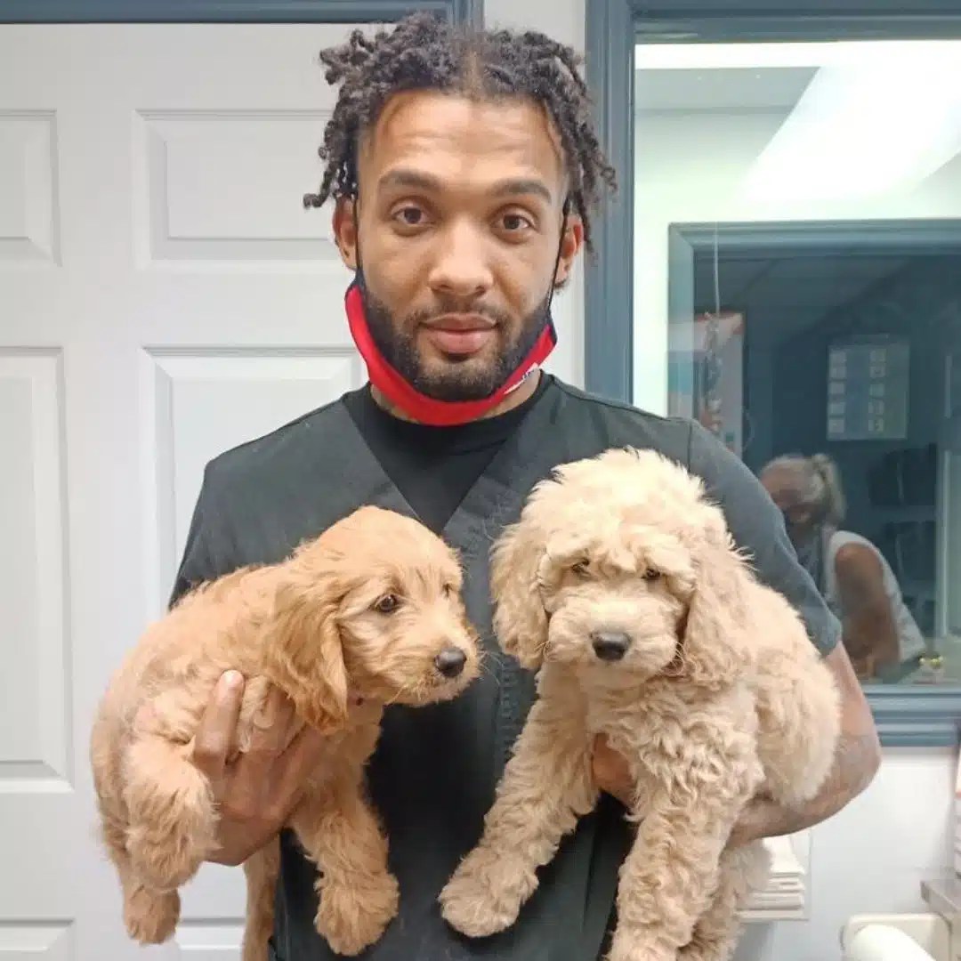 Veterinarian in Milford, OH Vet For Cats & Dogs Schedule Online!