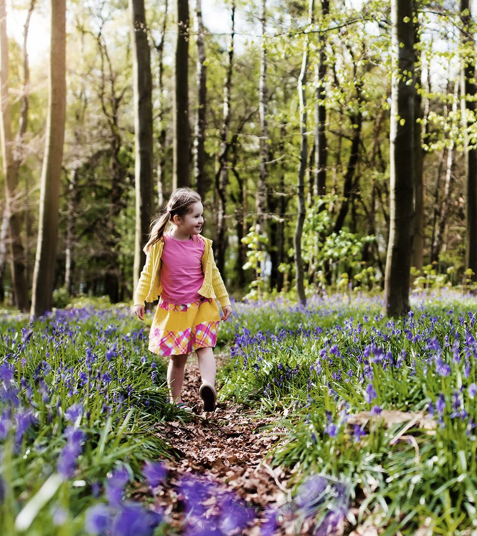 Camden Woods Home Camden Woods