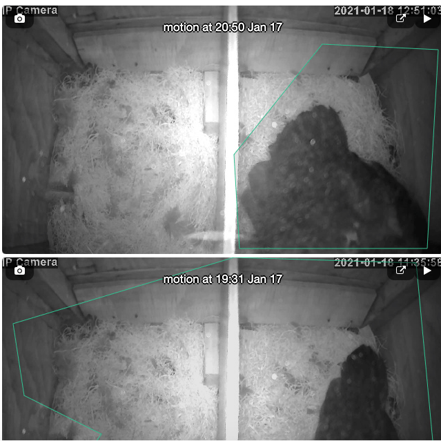 Installing a Chicken Coop Camera Powered by Camect AI camect