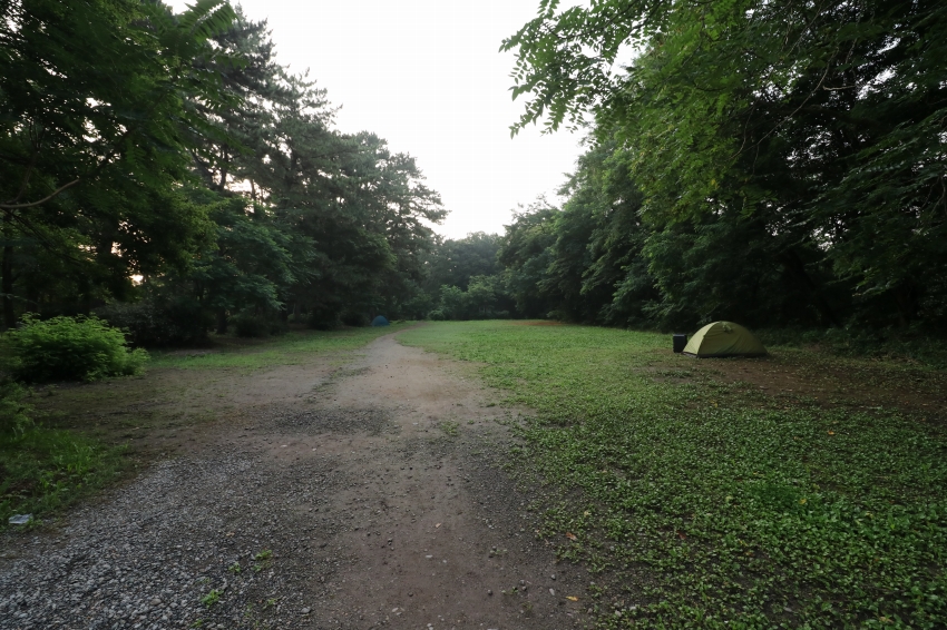 角渕キャンプ場に行ってきた！無料で使える、街中で安心のキャンプ場！