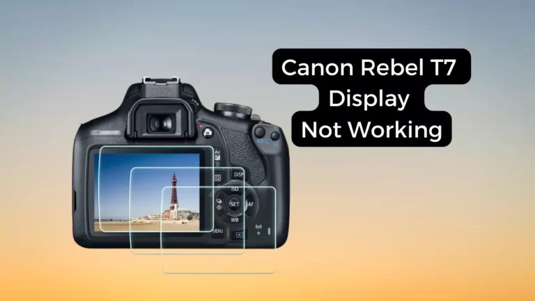 Why Is My Canon Camera Not Taking Pictures: Try These 5 Fixes - Camera