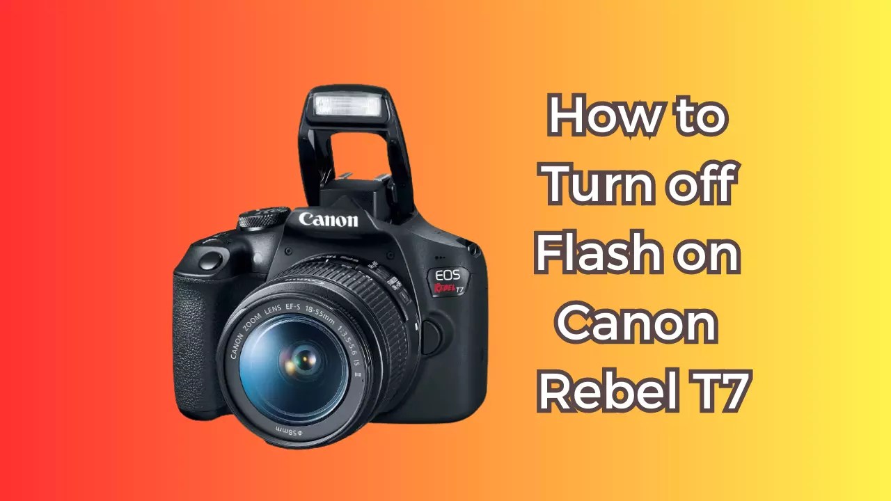 How to Turn off Flash on Canon Rebel T7 - Detailed Guide - Camera Clickz