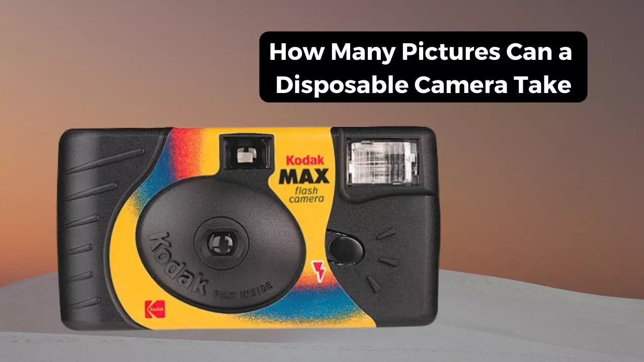 How Many Pictures Can a Disposable Camera Take? Camera Clickz