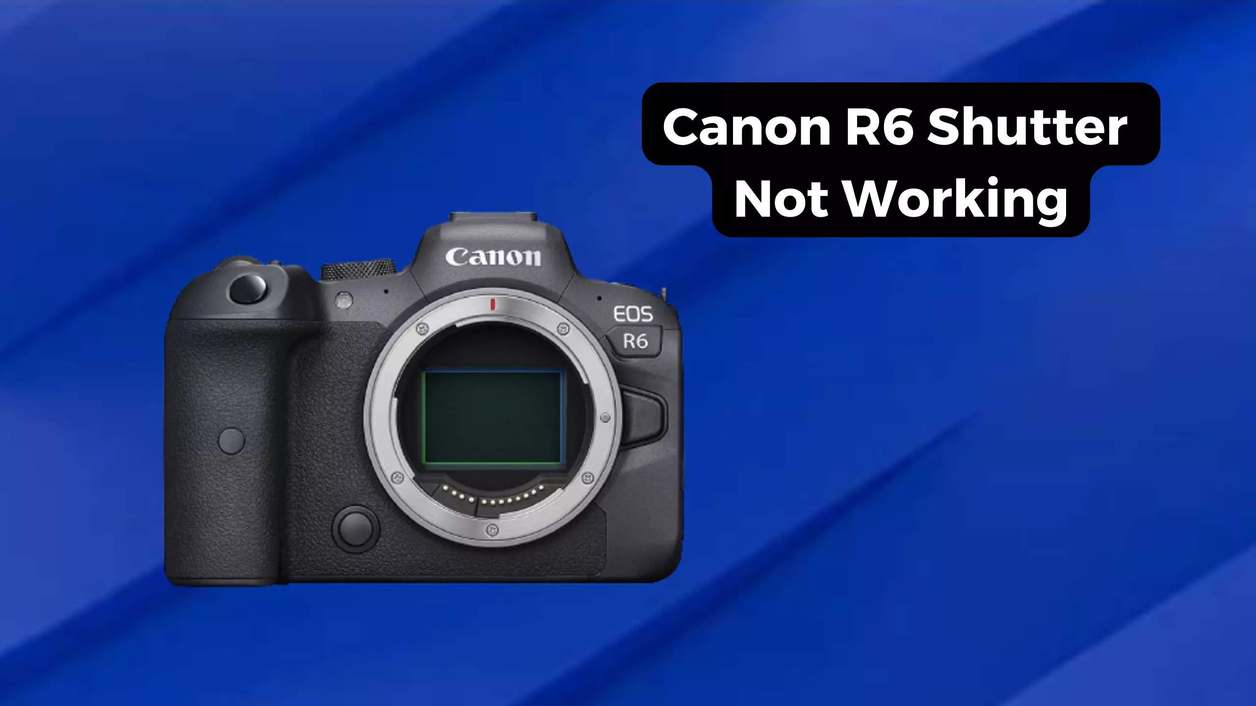 Canon R6 Shutter Not Working 2 Main Reasons and Solutions Camera Clickz
