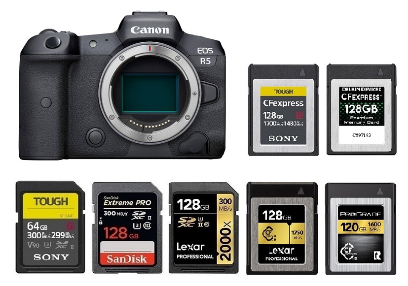 Best Memory Cards for Canon EOS R5 Camera Ears