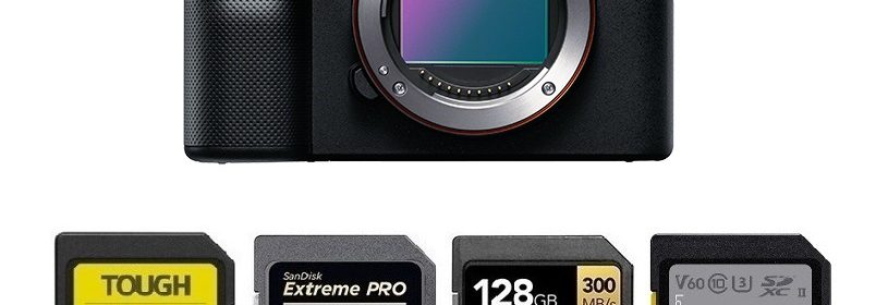 Sony a7C Camera Ears