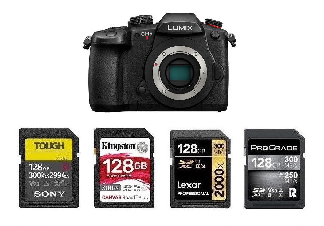 Best Memory Cards for Panasonic GH5 II Camera Ears