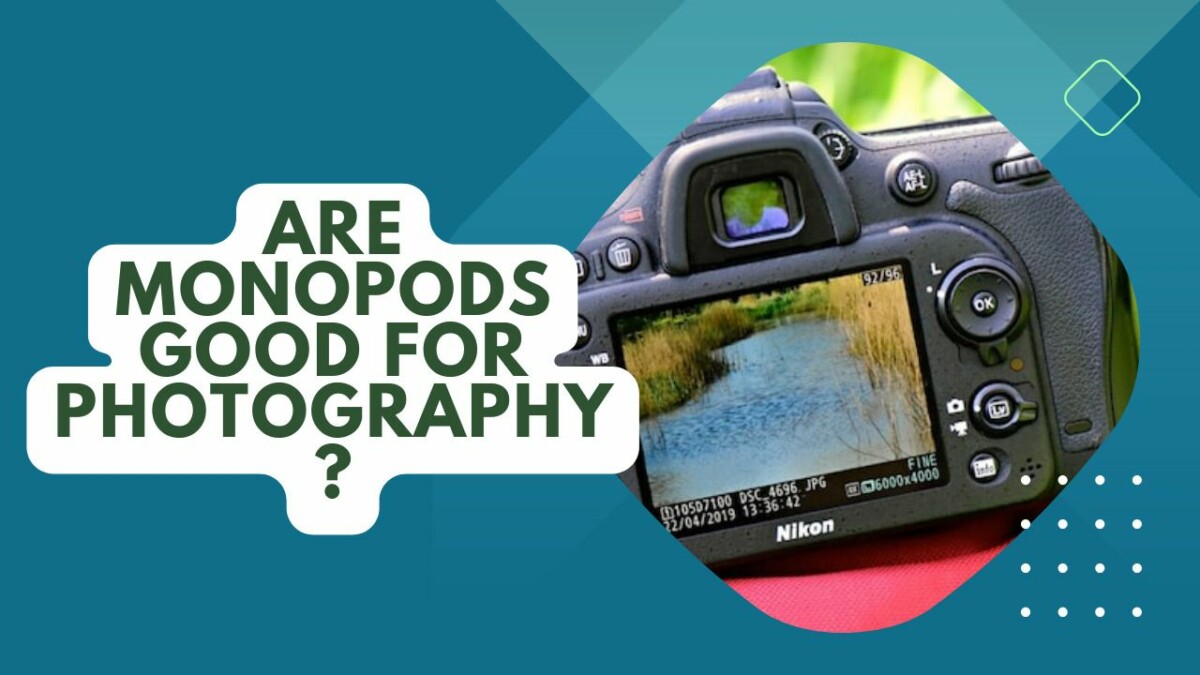 Are Monopods Good For Photography? When and Why to Use
