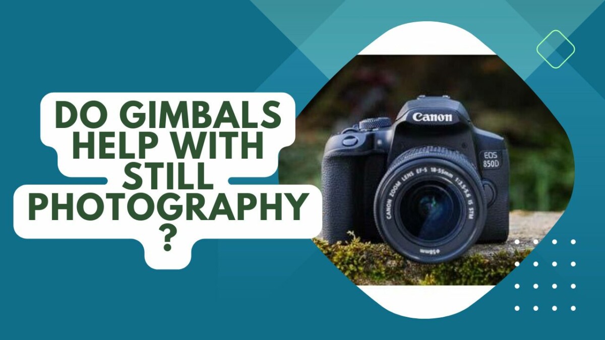 Do Gimbals Help With Still Photography? Benefits Explained