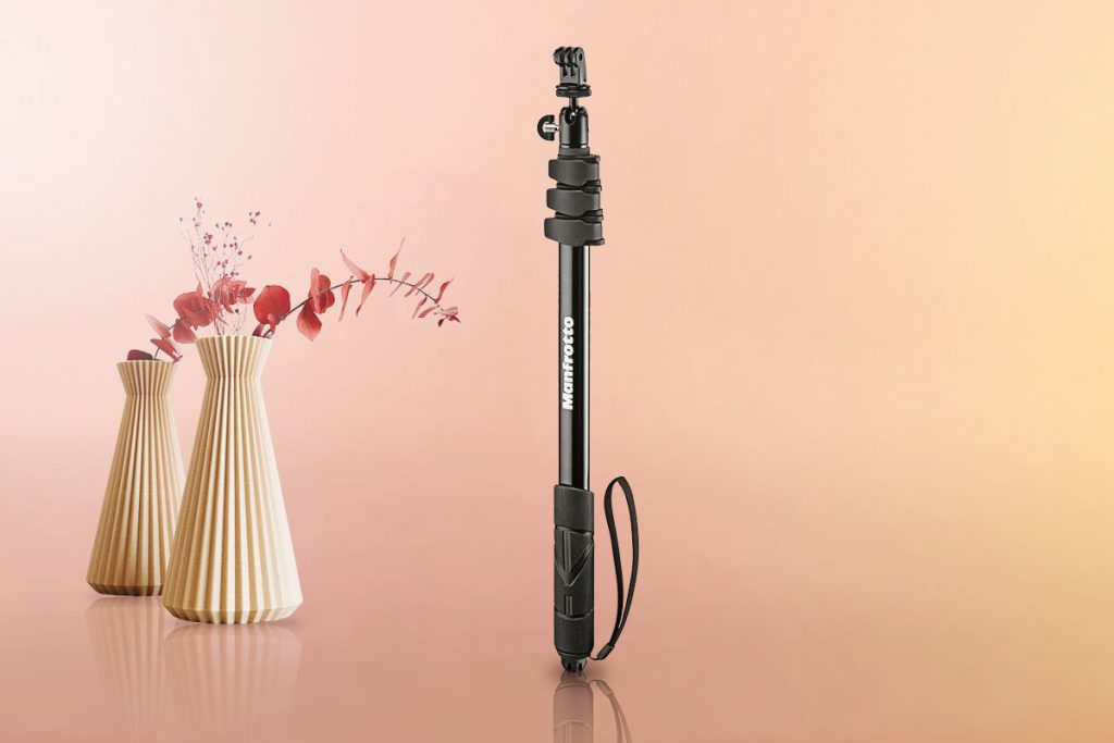 The 5 Best Monopods For Wildlife Photography CameraGurus