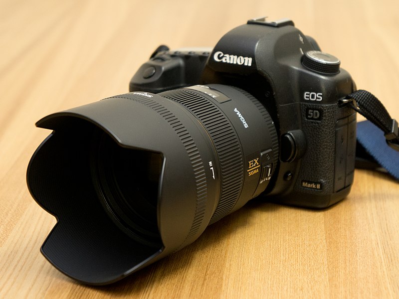 Basic Information of When to Use a Lens Hood 2024