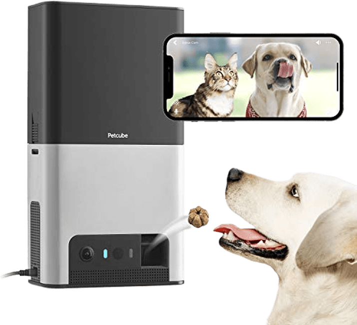 8 Best Pet Cameras in 2024 (To Monitor Your Pets)