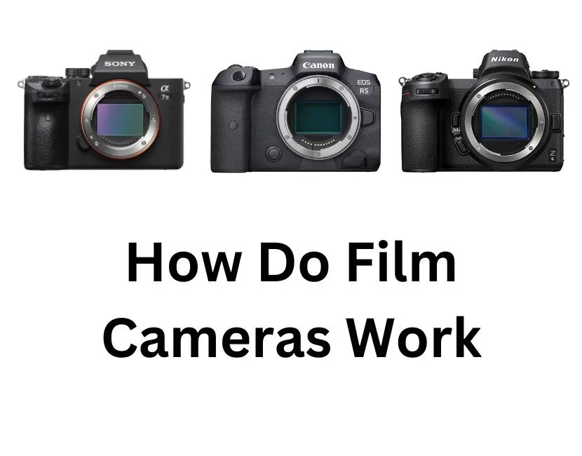 How Do Film Cameras Work?