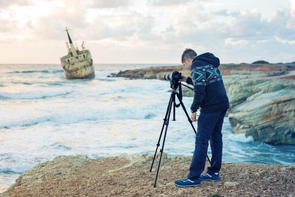 Best Wildlife Photography Tips For Beginners Camera Wall