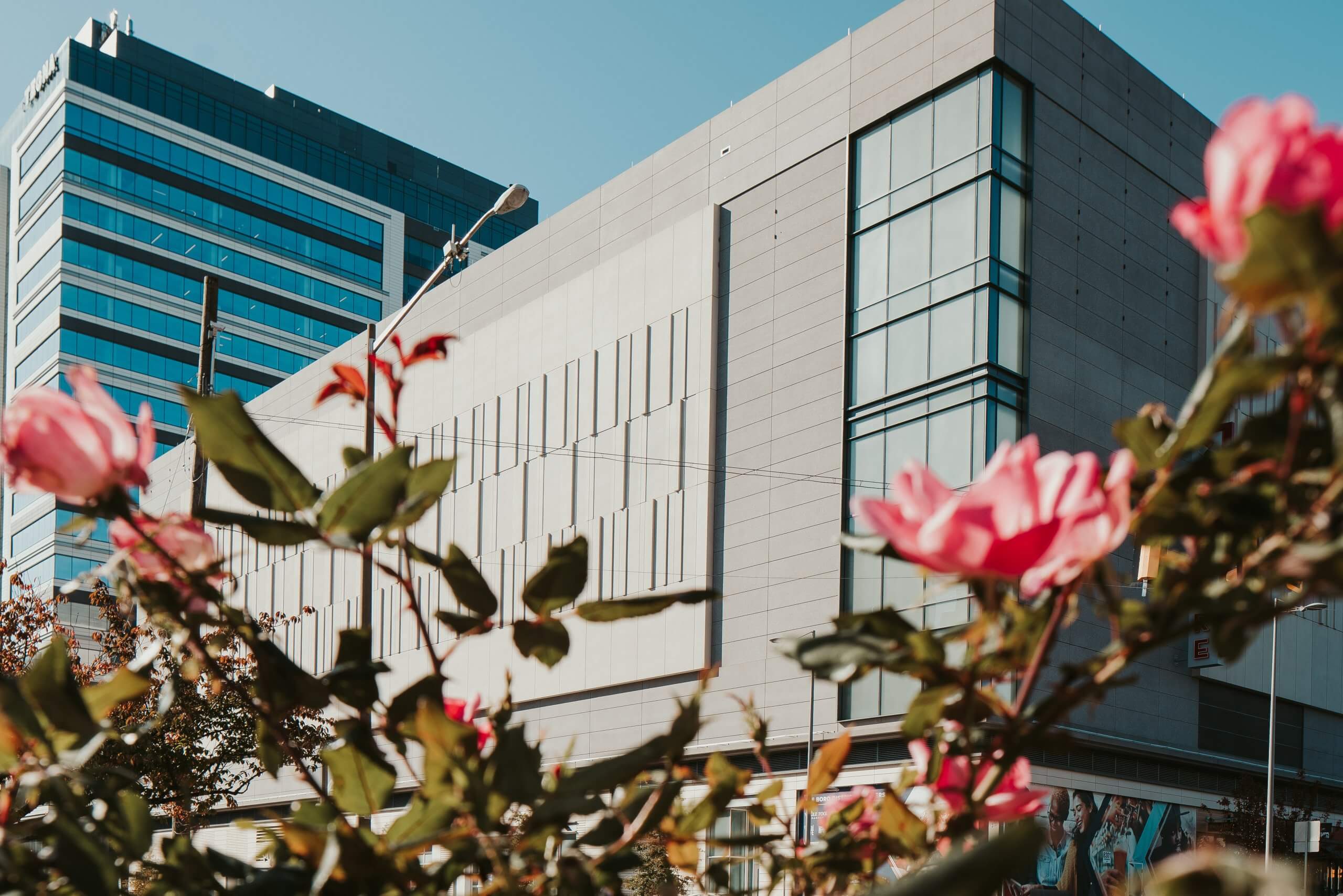 Cameron Building Envelope Gallery/ Building Projects / Cameron BES