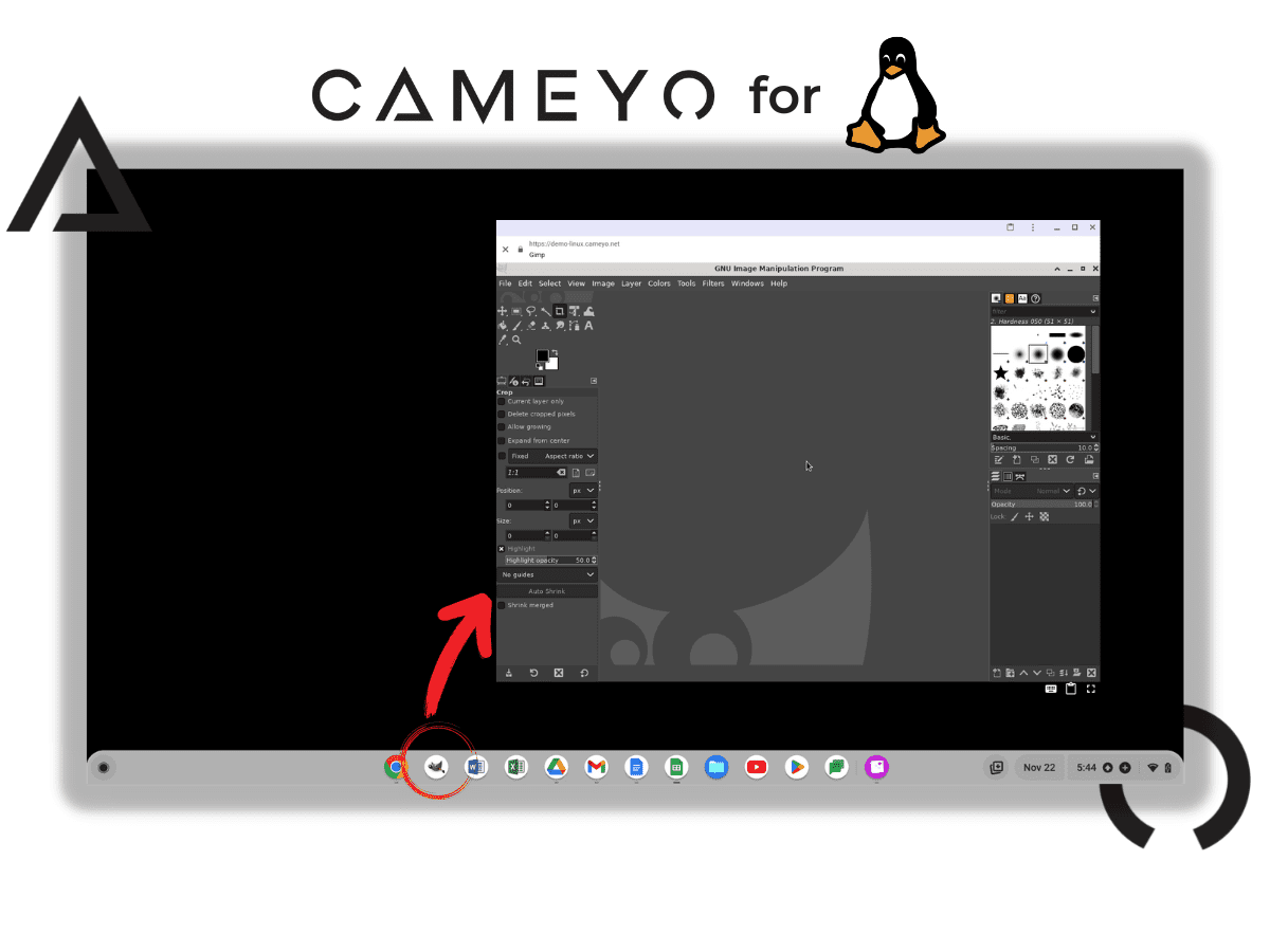 Cameyo for Linux Cameyo