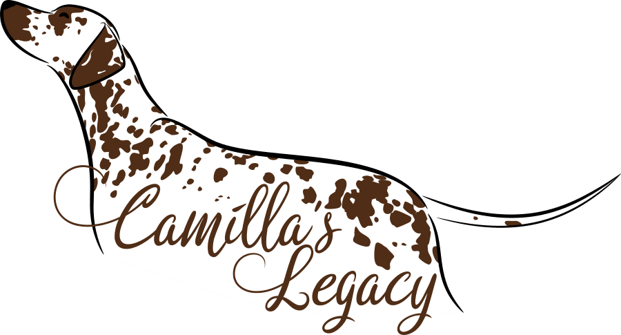 Dalmatiner of Camilla's Legacy