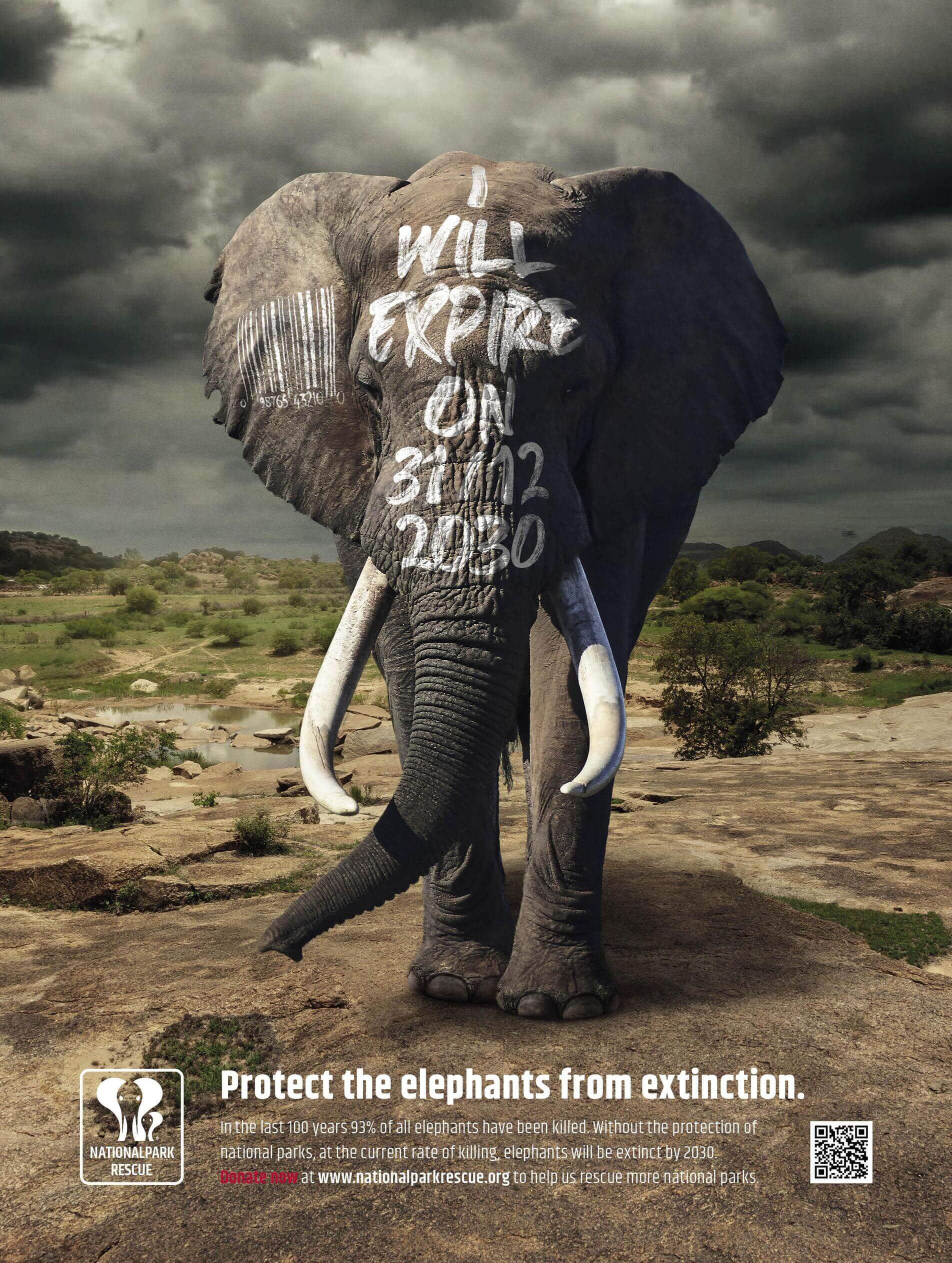 National Park Rescue Last Call Creative Print Ads