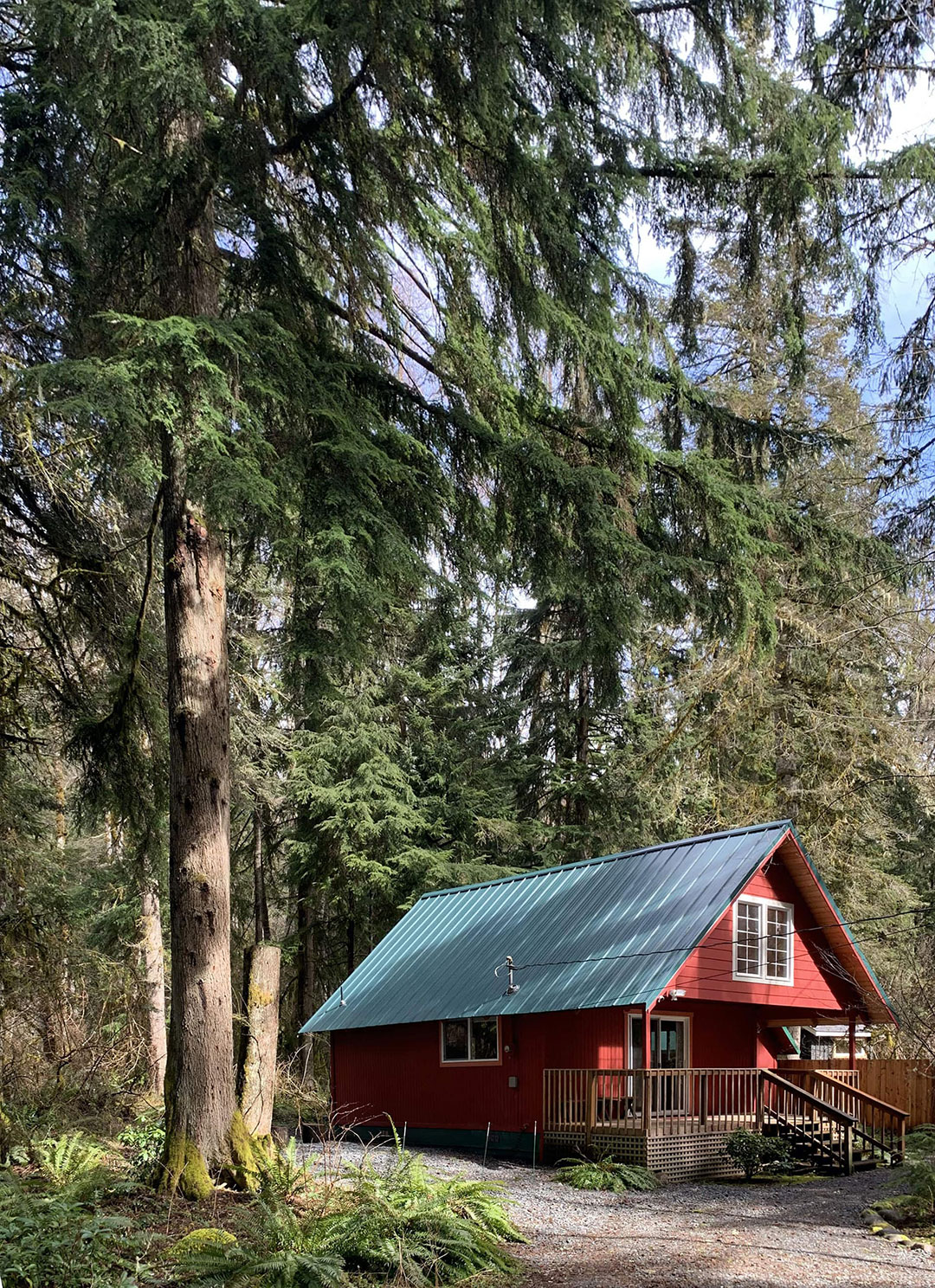 Camp Alder Mt. Rainier Cabin