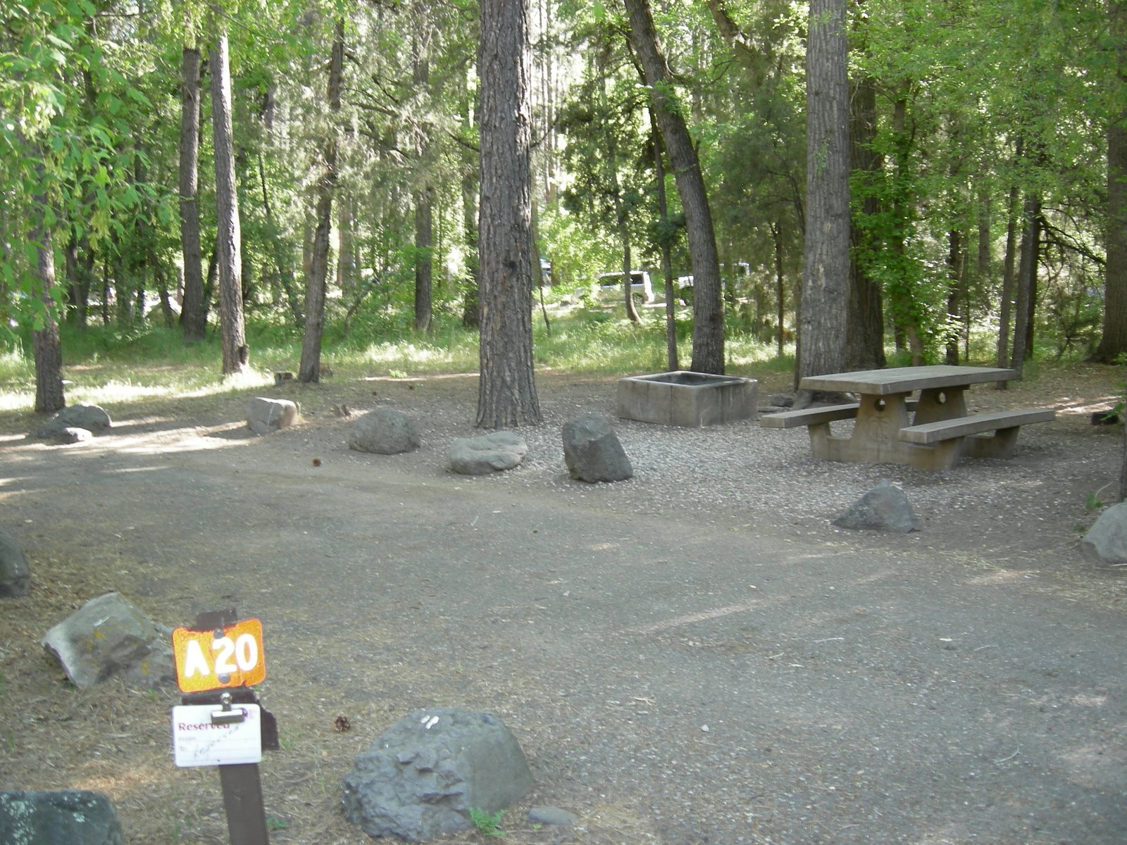 Are Dogs Allowed At Cave Springs