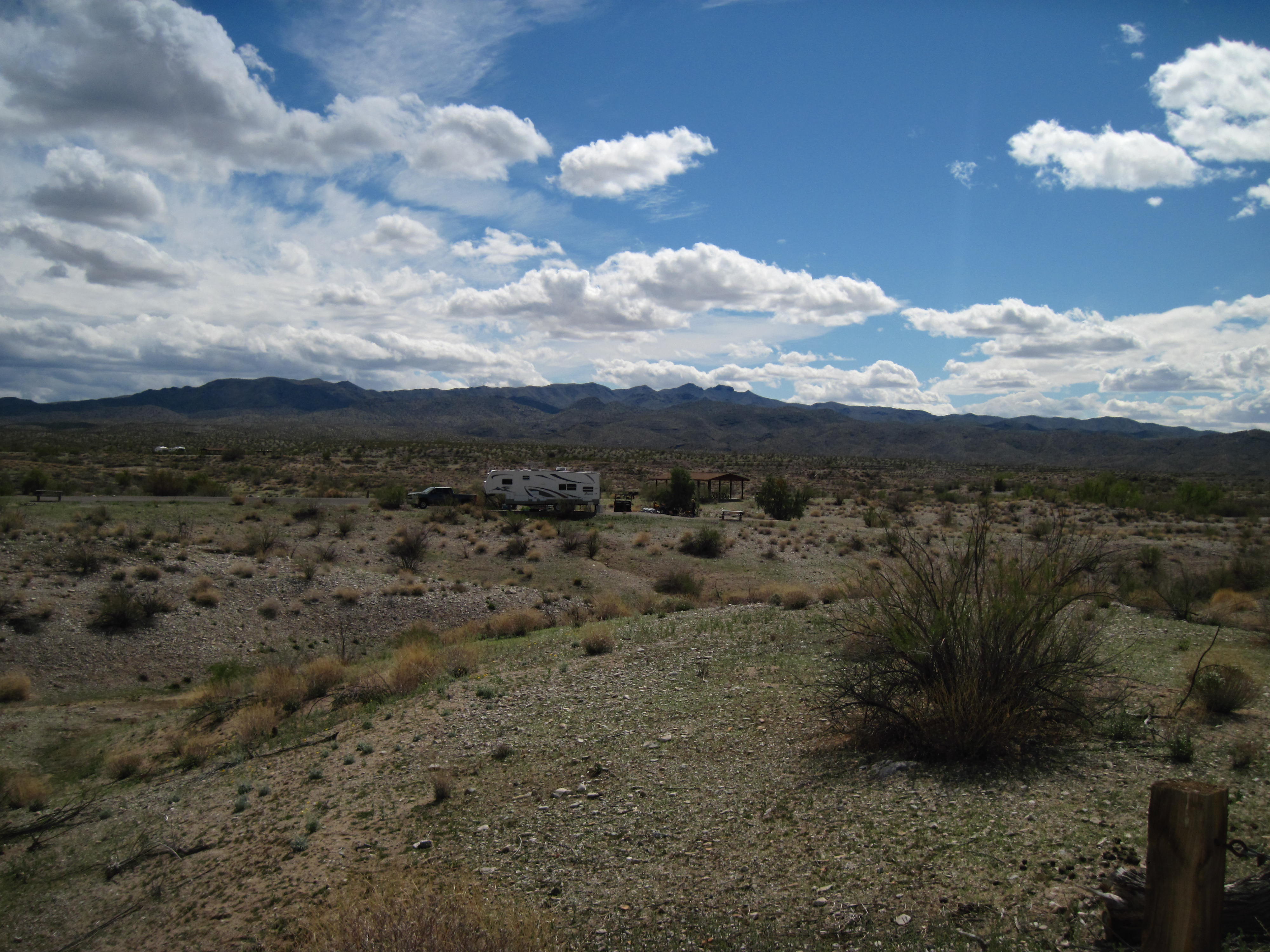 Alamo Lake Campground Camp Arizona