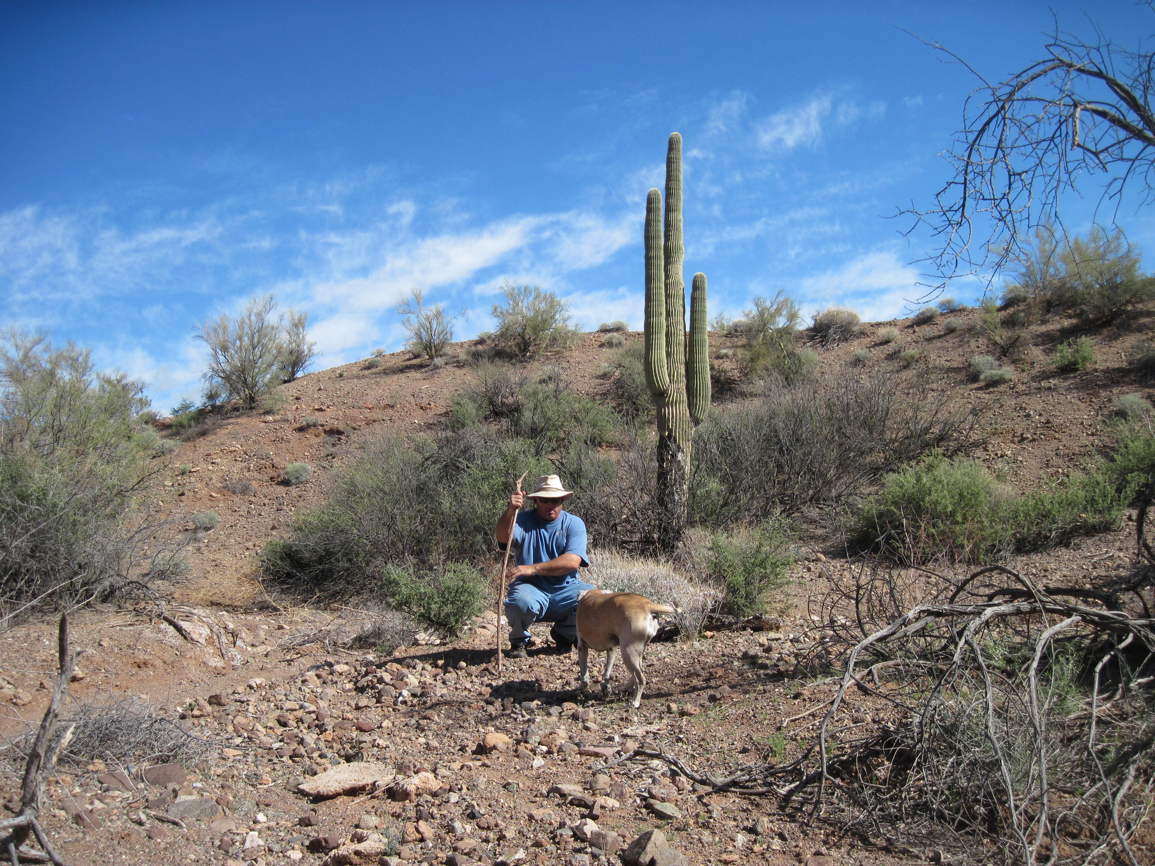 Alamo Lake Campground Camp Arizona