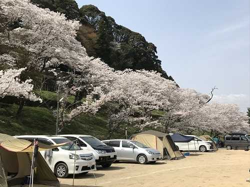 【関西7選】キャンプも花見も楽しみたい！花見もできるキャンプ場を一挙紹介！ キャンプ情報メディア「キャンプバルーン」