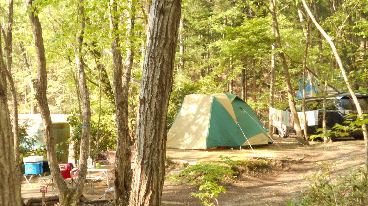 【東北】ペット同伴可！愛犬と一緒に泊まれるキャンプ場5選 キャンプ情報メディア「キャンプバルーン」