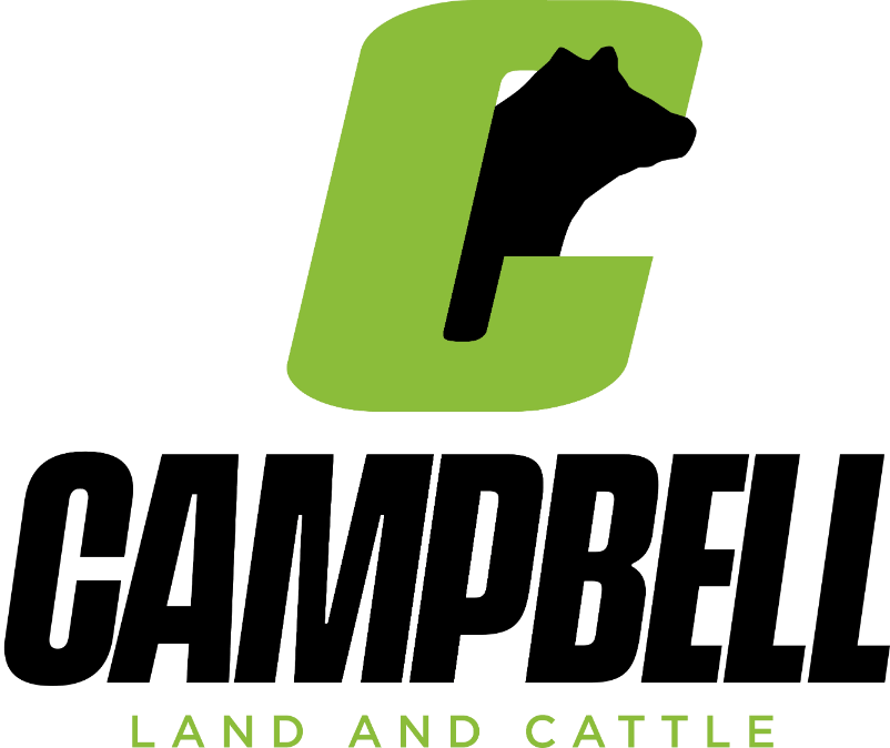 For Sale Campbell Land and Cattle