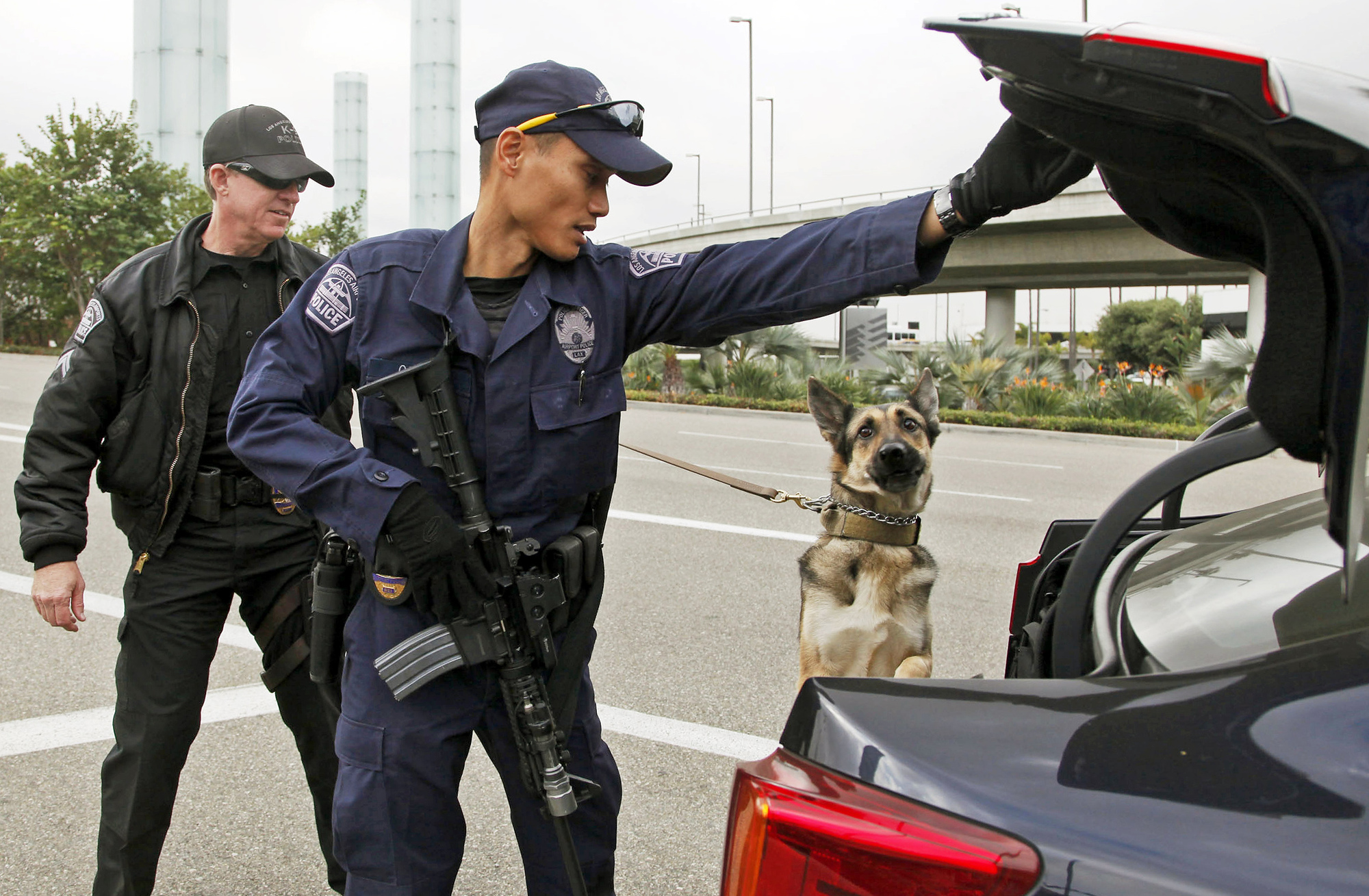 A “vehicle” for ending circuit splits Campbell Law Observer