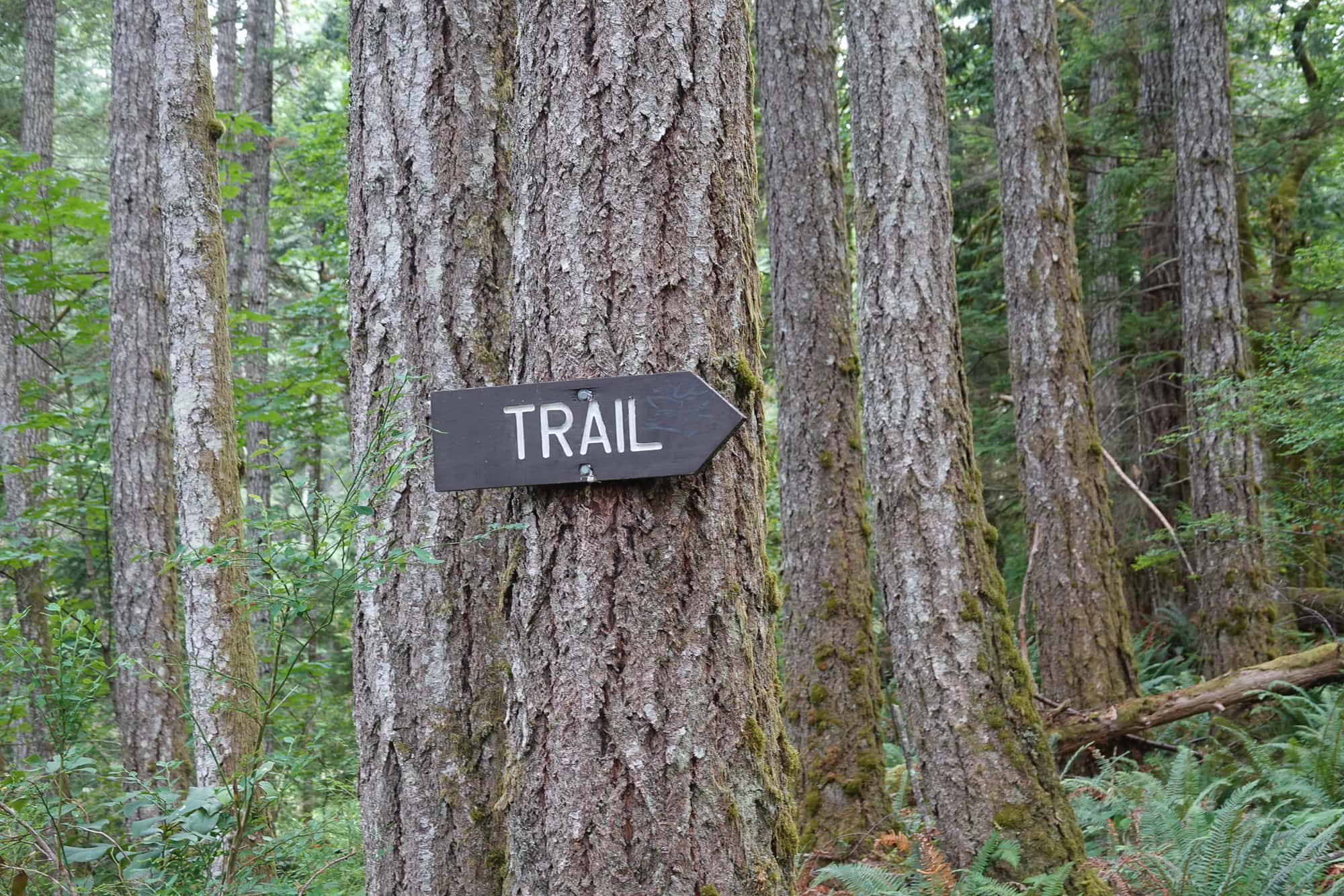 Quadra Island Hikes Campbell River Whale Watching and Adventure Tours