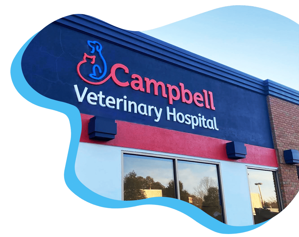 Recolectar 66+ imagen walmart vet clinic Thptletrongtan.edu.vn