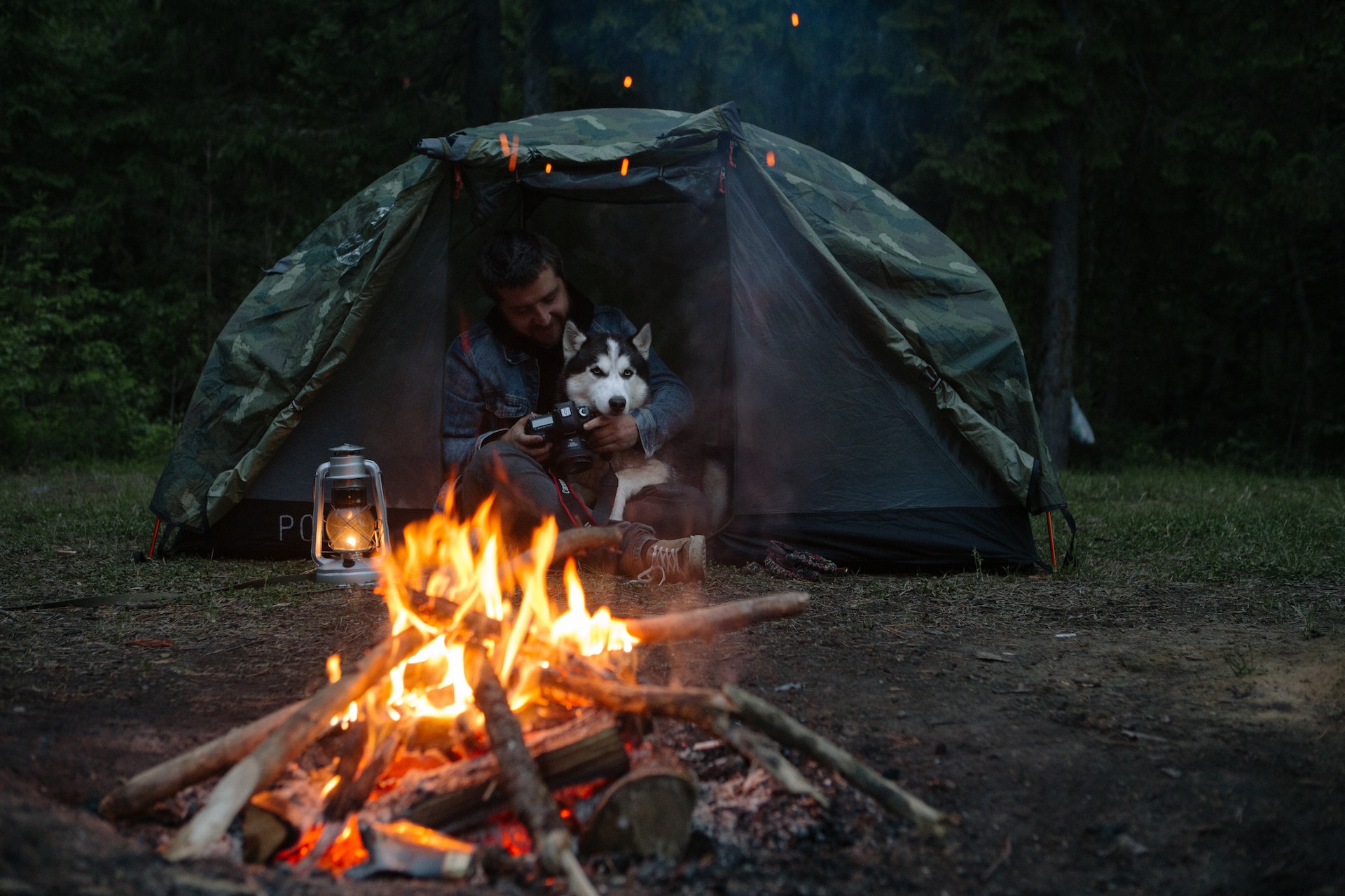 What Are the Top U.S. Dog Friendly Campsites? Camping Hacks The