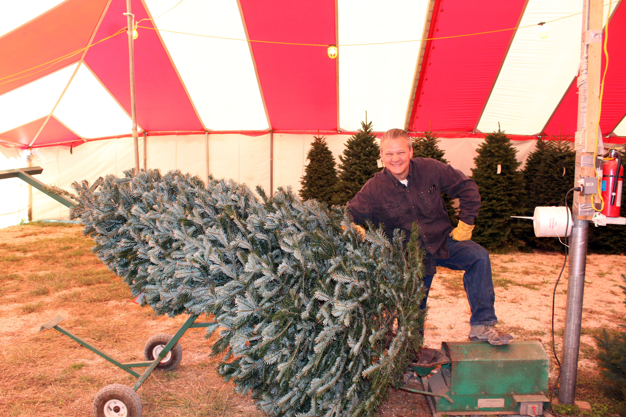 First Time Selling Christmas Trees Sold our First Trees! Camper
