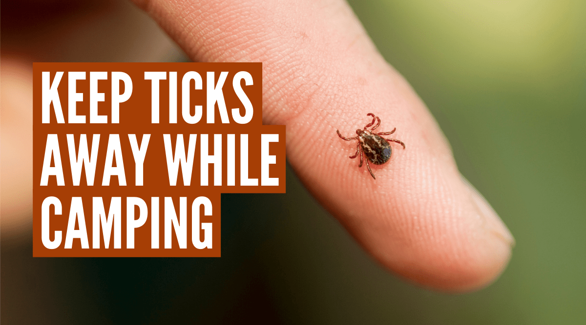 How to Keep Ticks Away While Camping (7 Pro Tips)