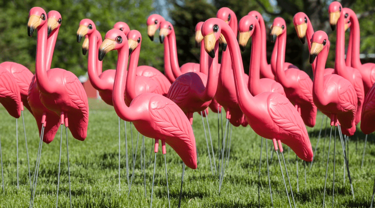 What Do Flamingos Mean in an RV Park?