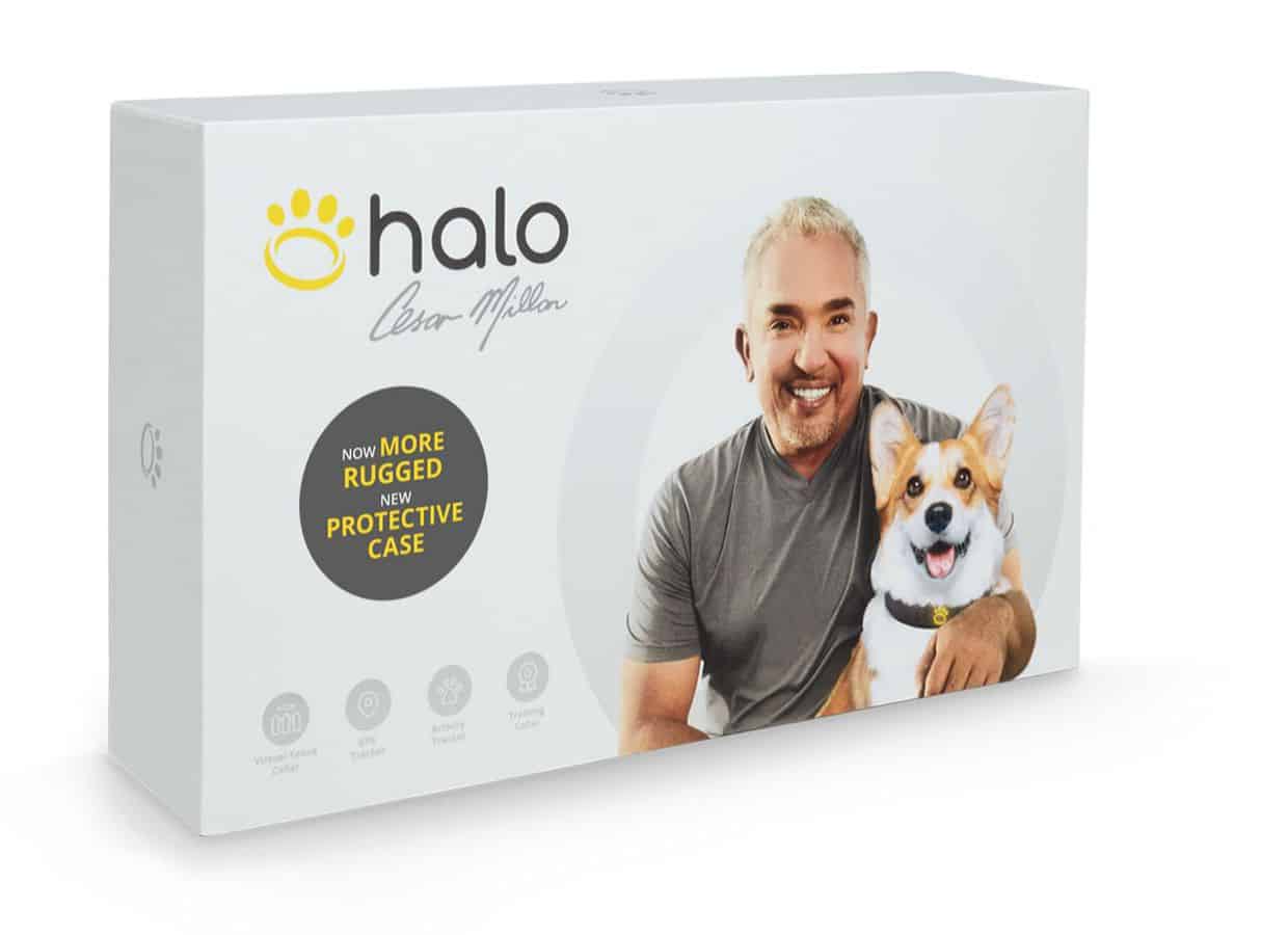 Halo Collar Digital RV Dog Fence Solution is perfect for RVers