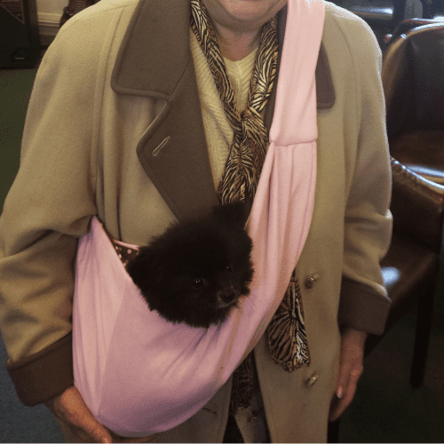 Best Dog Sling Carrier For Hiking Campfire Magazine