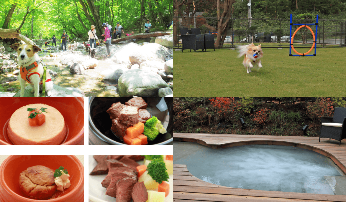 「くるまの旅ナビ」がペットと泊まれるホテル100選を発表！ 1位は愛犬と一緒に貸し切り風呂や、奥田政行シェフプロデュースのイタリアンが楽しめる