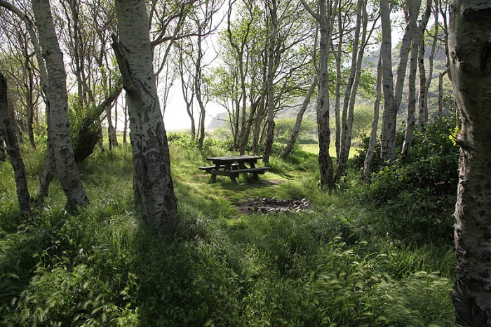 Usal Beach Campground