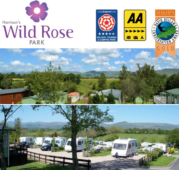 Wild Rose Park • Camping & Caravanning UK