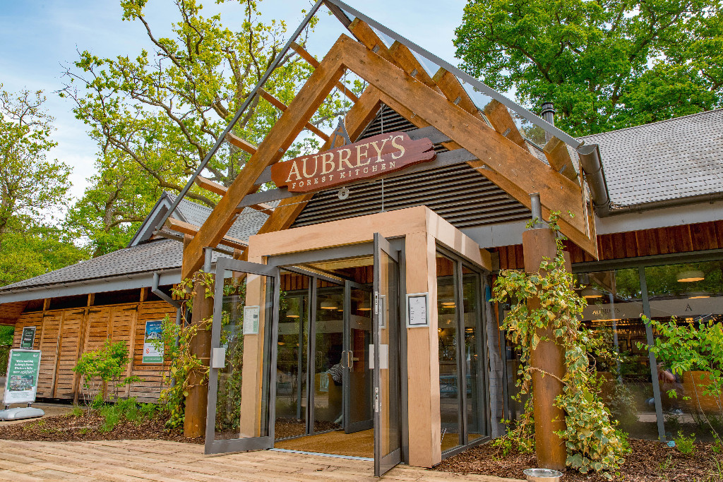 Sandy Balls Holiday Village • Camping & Caravanning UK