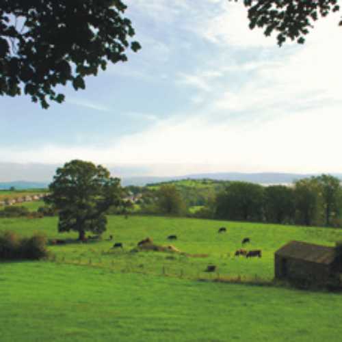 Fir Tree Caravan Park • Camping & Caravanning UK