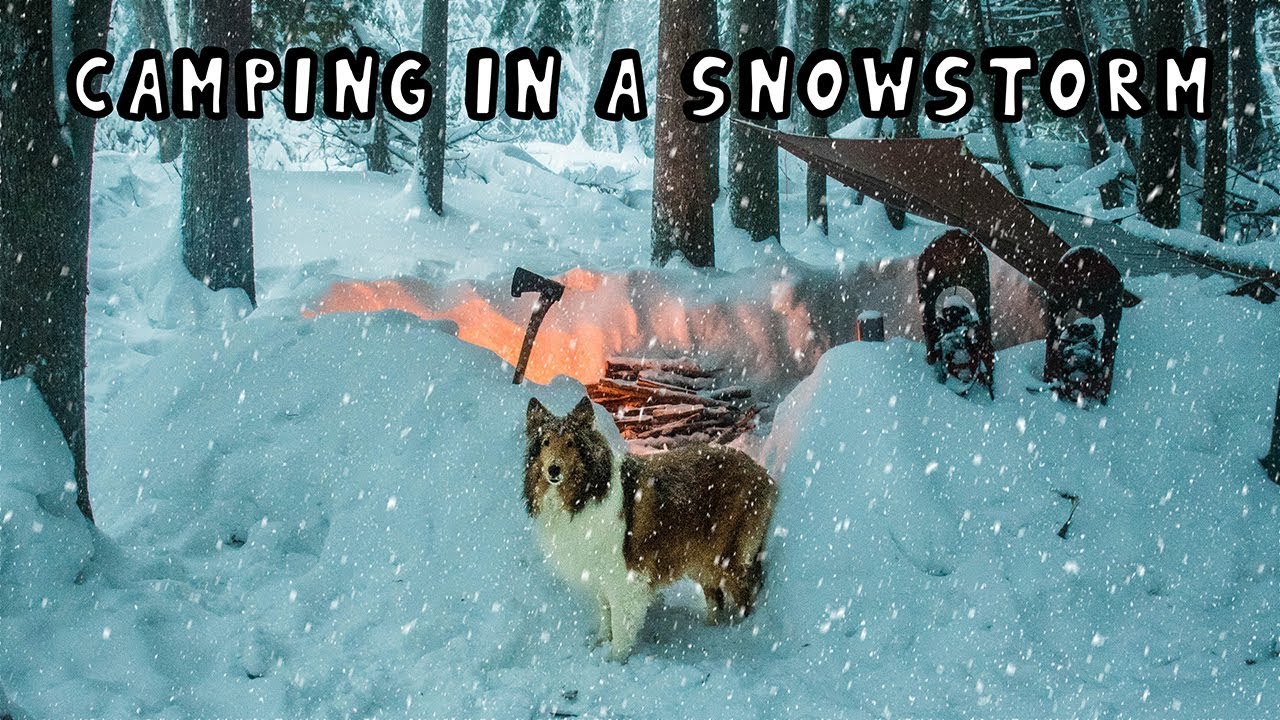 Winter Camping in a Snowstorm with My Dog CampingBenefits Blog