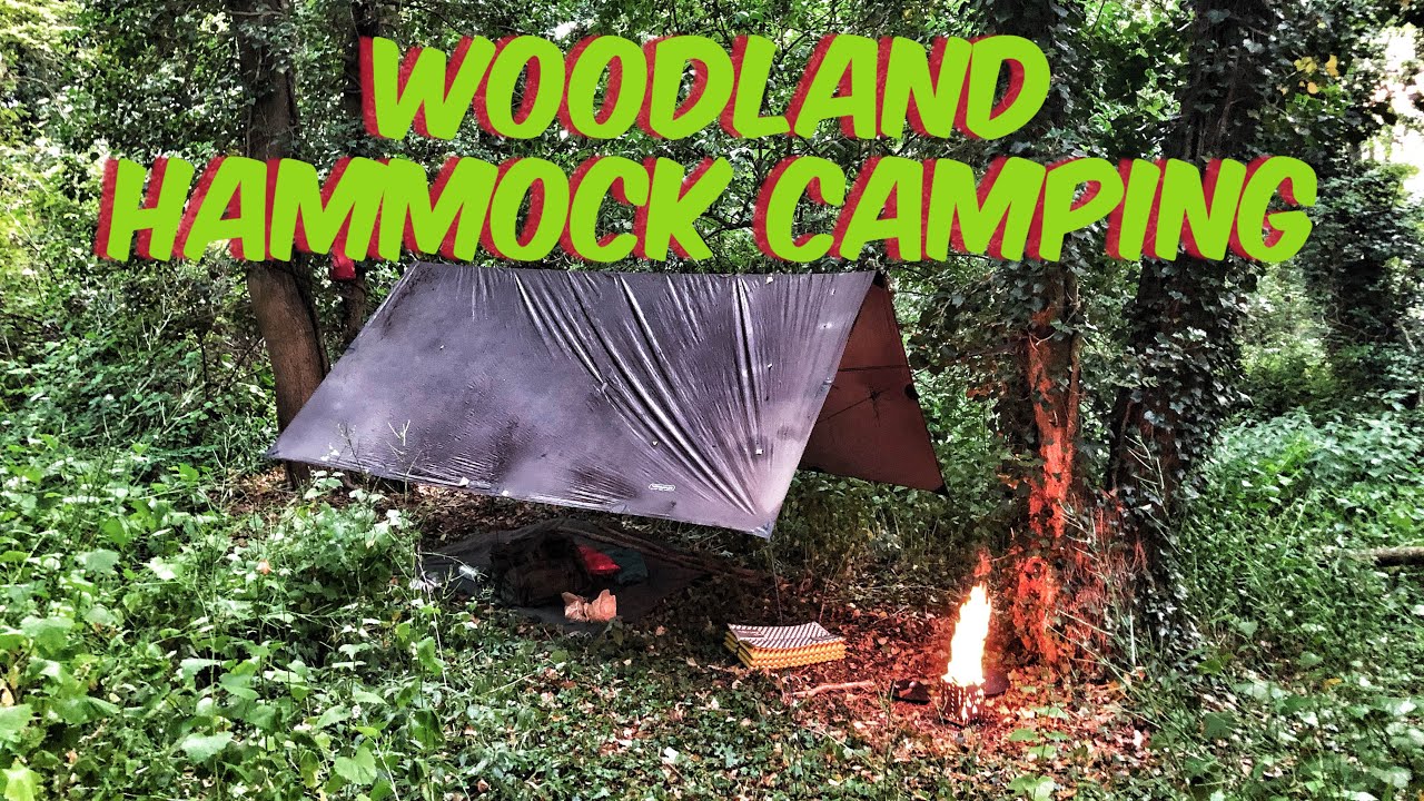 Woodland hammock camping WILD CAMPING hammock camping in the uk