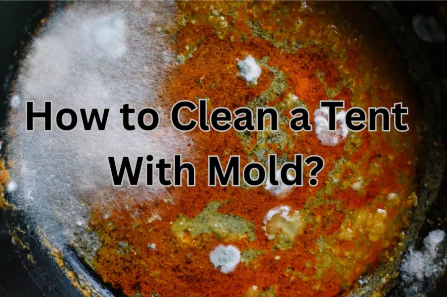 How to Clean a Tent With Mold Best Practical Solutions
